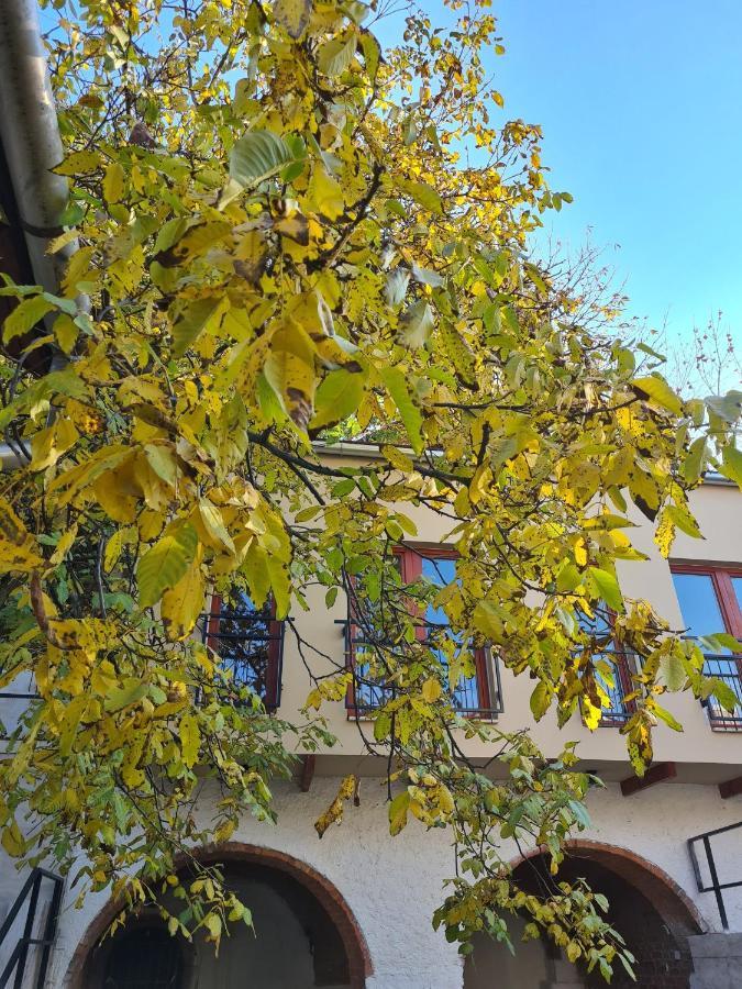 Palantír Panzió Acomodação com café da manhã Miskolc Exterior foto